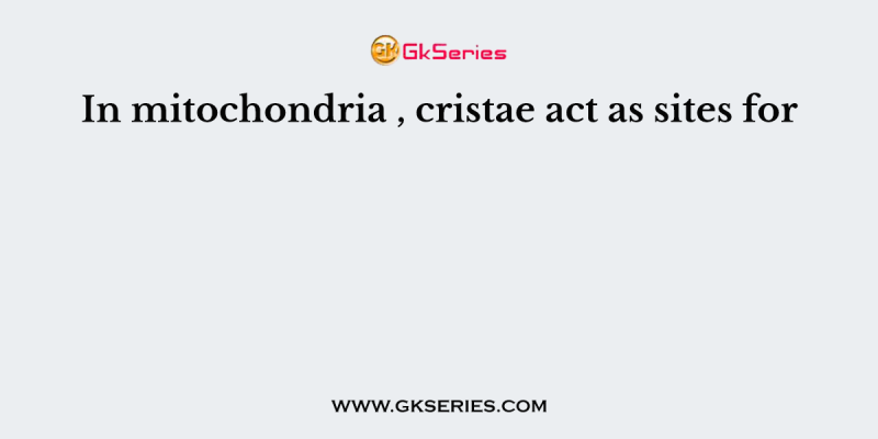 In mitochondria , cristae act as sites for