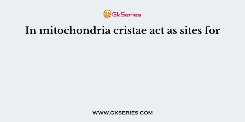In mitochondria cristae act as sites for