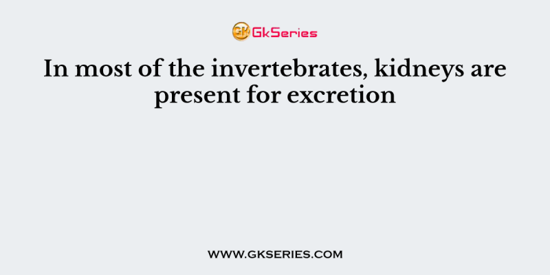 In most of the invertebrates, kidneys are present for excretion
