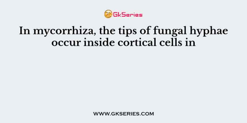 In mycorrhiza, the tips of fungal hyphae occur inside cortical cells in