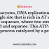 The DNA replication occurs in a semi-conservative manner which means