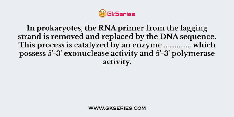 In prokaryotes, the RNA primer from the lagging strand is removed and replaced by the DNA sequence