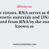 Which one of the following statement is true regarding the DNA double helical structure?