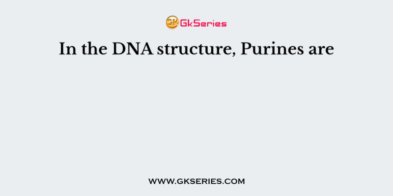 In the DNA structure, Purines are
