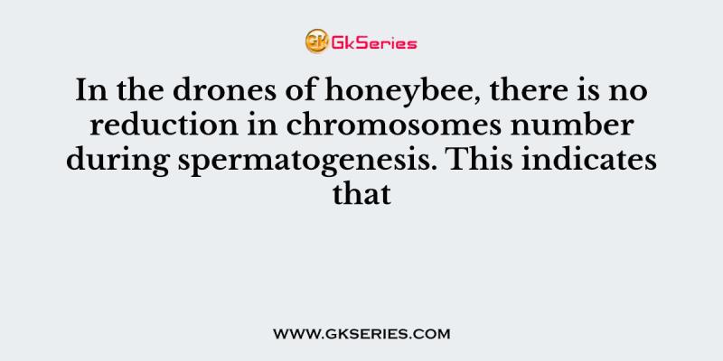 In the drones of honeybee, there is no reduction in chromosomes number during spermatogenesis. This indicates that