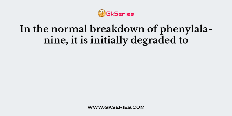 In the normal breakdown of phenylalanine, it is initially degraded to