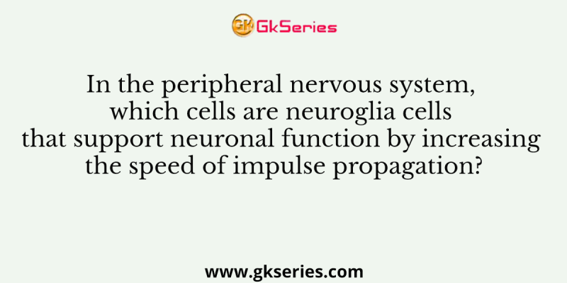 In the peripheral nervous system, which cells are neuroglia cells that support neuronal function by increasing the speed of impulse propagation?