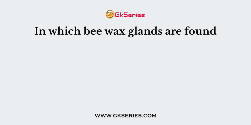 In which bee wax glands are found