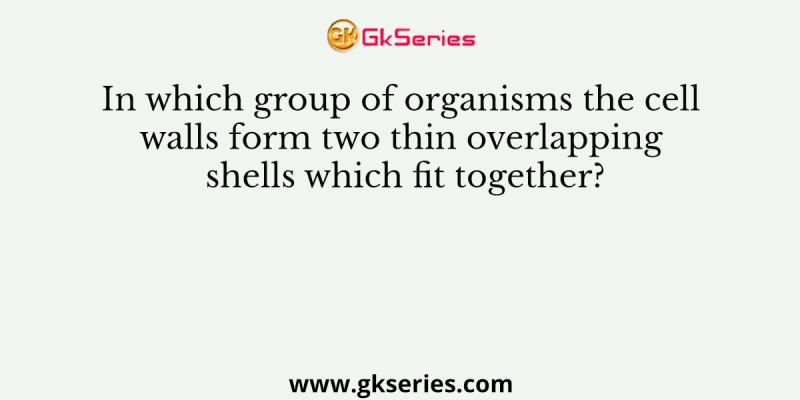 In which group of organisms the cell walls form two thin overlapping shells which fit together?