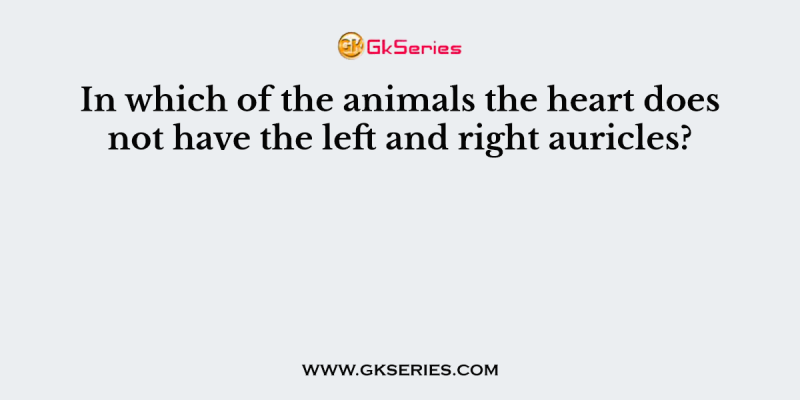 In which of the animals the heart does not have the left and right auricles?