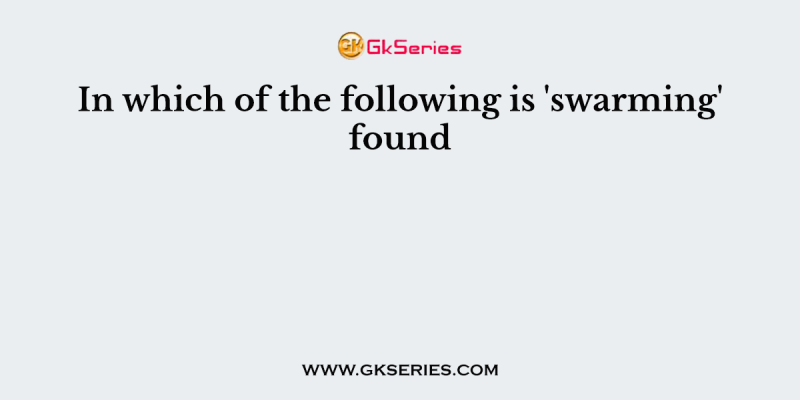 In which of the following is ‘swarming’ found 
