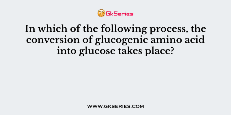 In which of the following process, the conversion of glucogenic amino acid into glucose takes place?