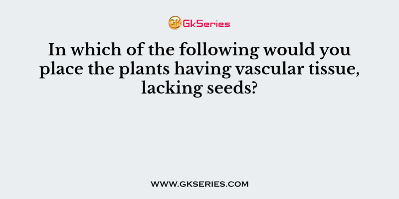 In which of the following would you place the plants having vascular tissue, lacking seeds?