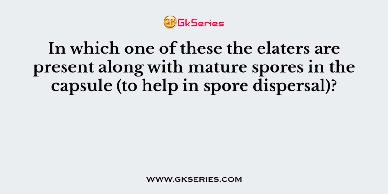 In which one of these the elaters are present along with mature spores in the capsule (to help in spore dispersal)?
