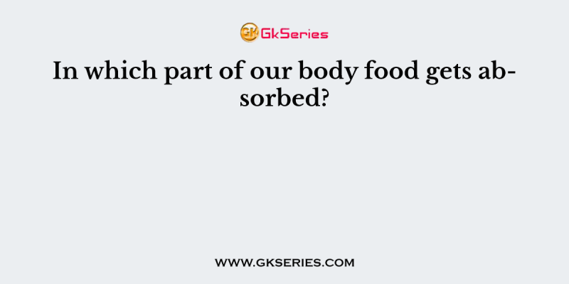 In which part of our body food gets absorbed?