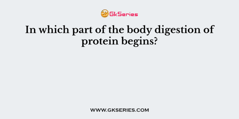 In which part of the body digestion of protein begins?