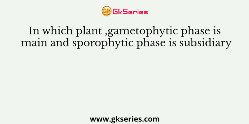 In which plant ,gametophytic phase is main and sporophytic phase is subsidiary