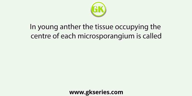 In young anther the tissue occupying the centre of each microsporangium is called