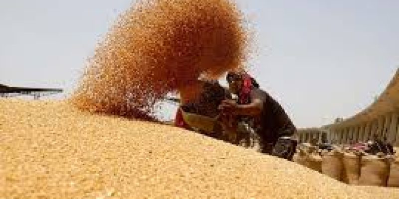 India Achieves Record 357 Million Tonnes Foodgrain Production in 2025
