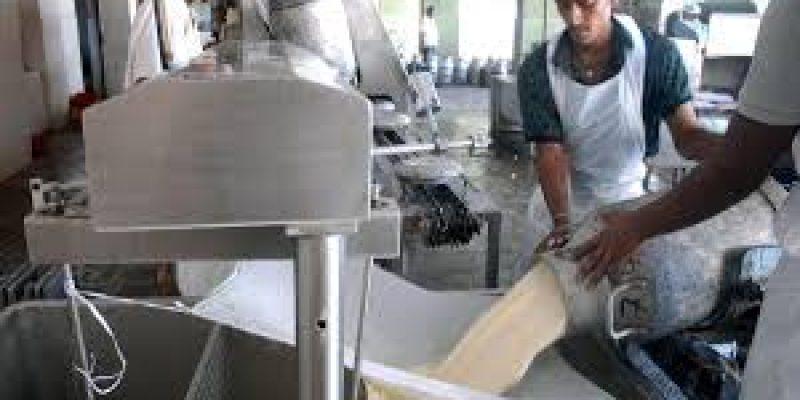 India Becomes the World’s Top Milk Producer: Growth, Challenges & Future Goals