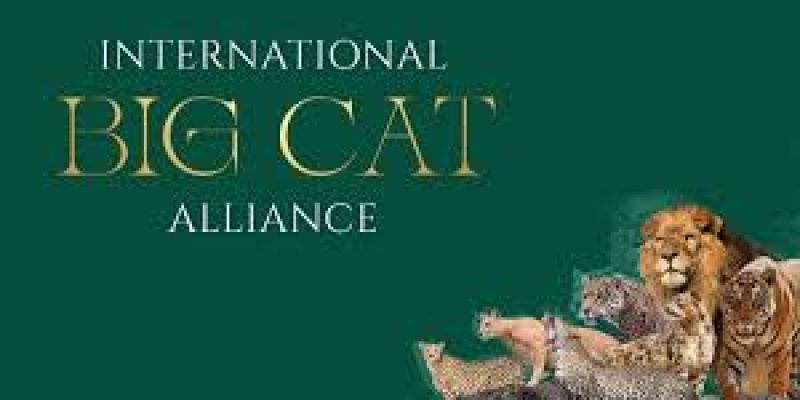 India Hosts First Assembly of the International Big Cat Alliance in New Delhi
