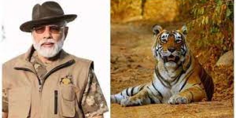 India launched international Big Cat Alliance for conserving 7 big cats