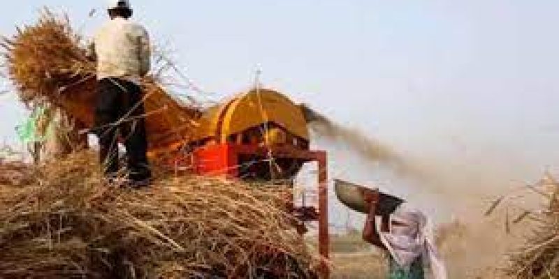 India recorded 30% increase in agricultural export last year