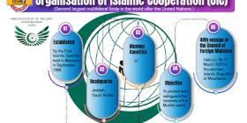 India slams OIC for its ‘anti-India’ agenda