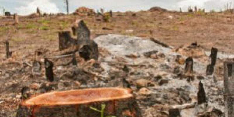 India to host COP-14 of UNCCD