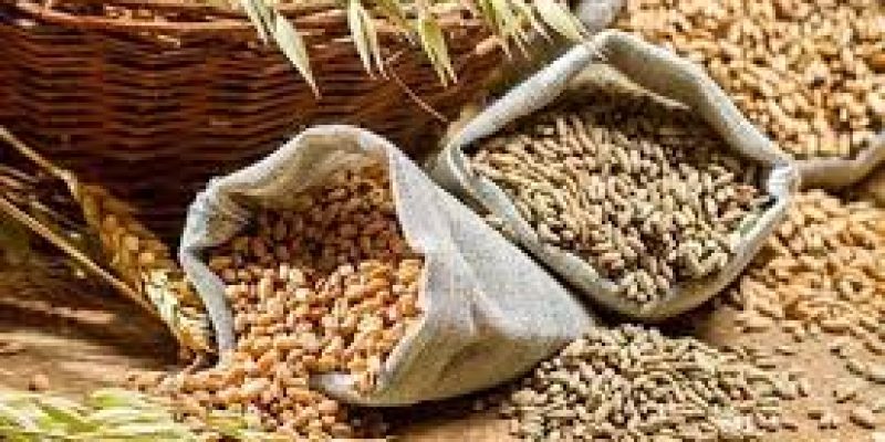 India touched record in Foodgrains production in 2019-20 crop year