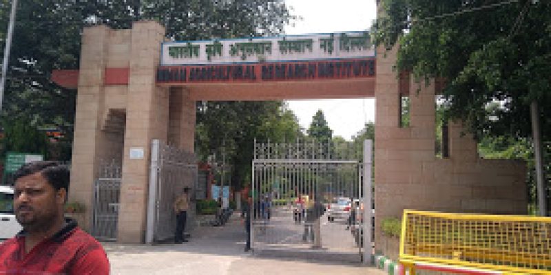 Indian Agricultural Research Institute, New Delhi