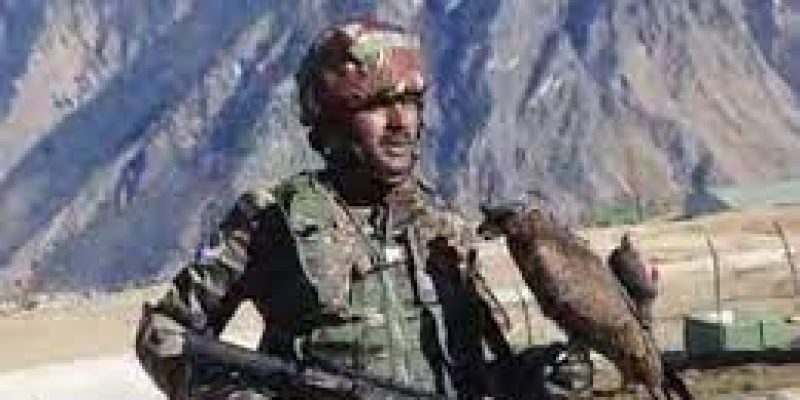 Indian Army is training dogs and Kites to Identify Foreign Drones