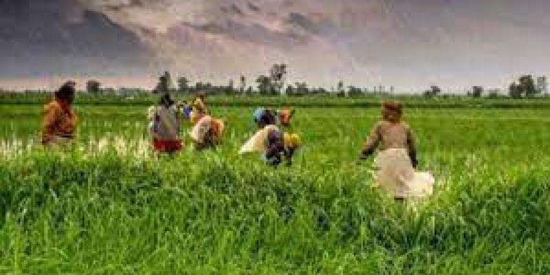 Indian National Farmer’s Day 2022 celebrates on 23 December