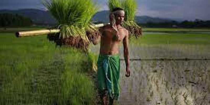 Indian farmers meet experts to learn ways to boost agri export