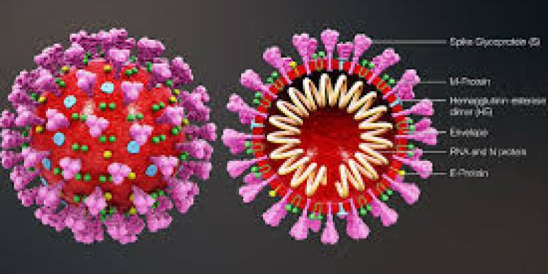 Indian researchers start working on novel coronavirus genome sequencing