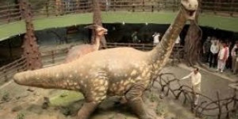India’s First Dinosaur Museum Park inaugurated in Gujarat