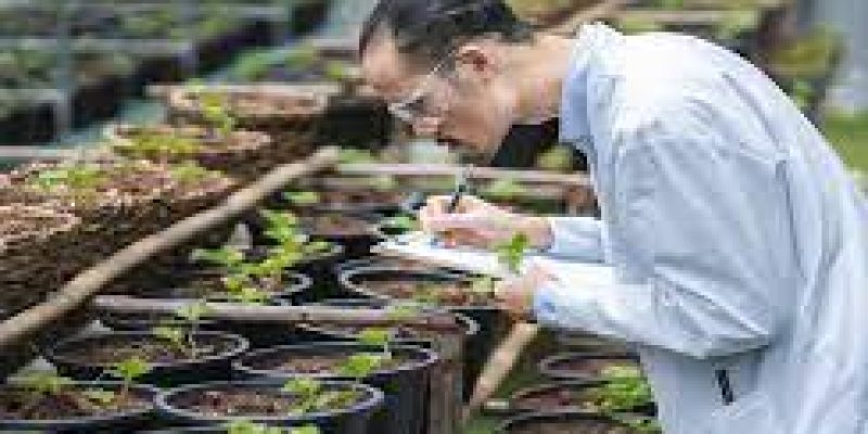 India’s first forest university to come up in Telangana