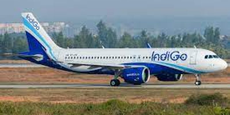 Indigo joins sustainable initiative of WEF