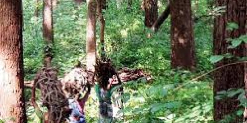 Indira Van Mitan Yojana