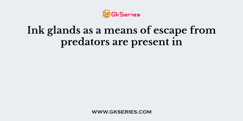 Ink glands as a means of escape from predators are present in