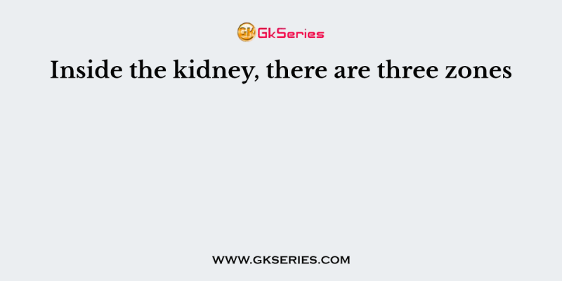 Inside the kidney, there are three zones