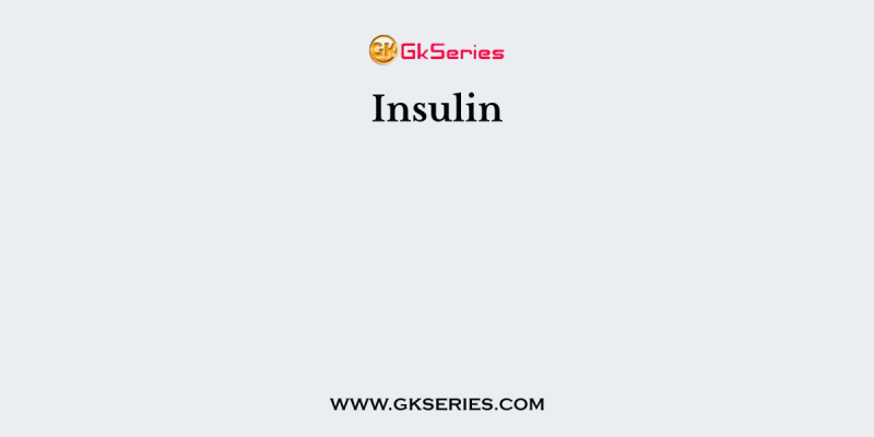 Insulin