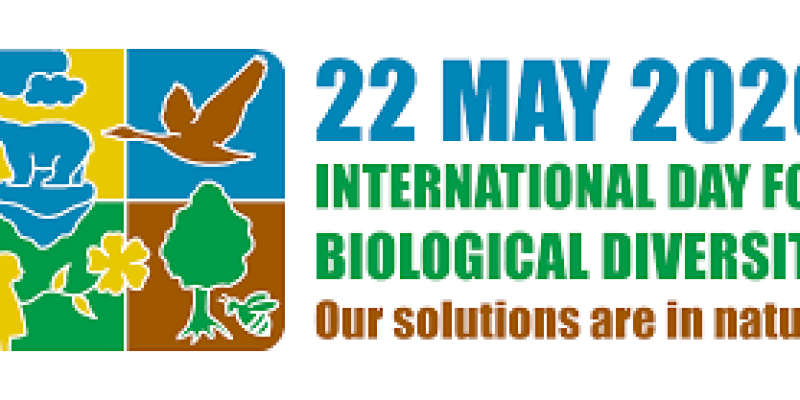 International Day for Biological Diversity 2020