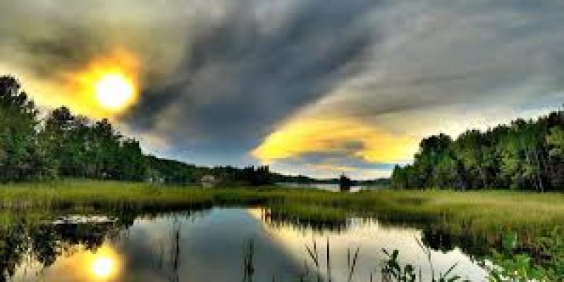 International Day for Biological Diversity 2021