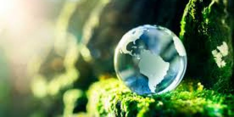 International Day for Preventing the Exploitation of the Environment in War and Armed Conflict