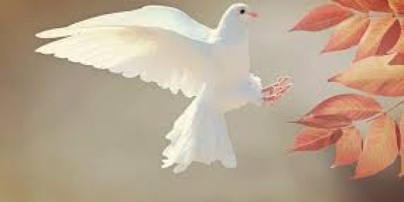 International Day of Peace 2020