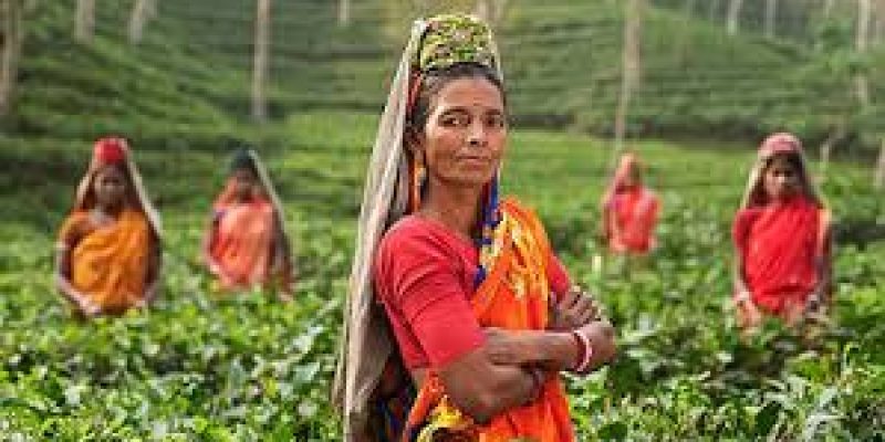 International Day of Rural Women