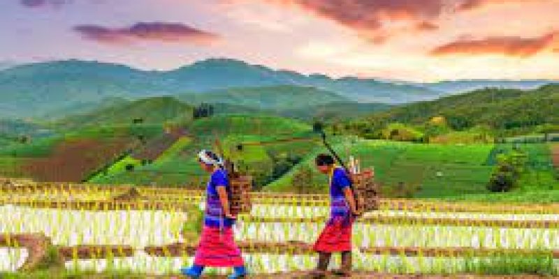 International Day of the World’s Indigenous Peoples 2021