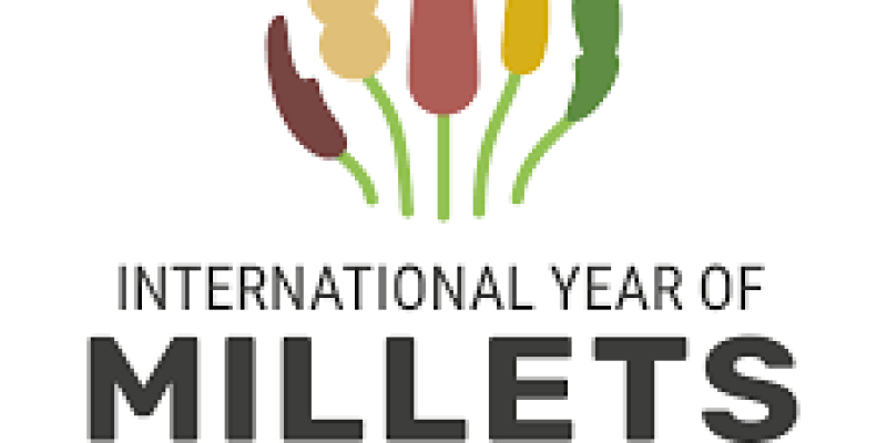 International Year of Millets
