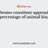 An animal having diploblastic acoelomic condition is